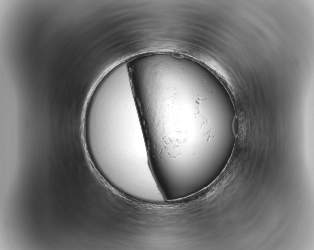 X0000096461088200801241113