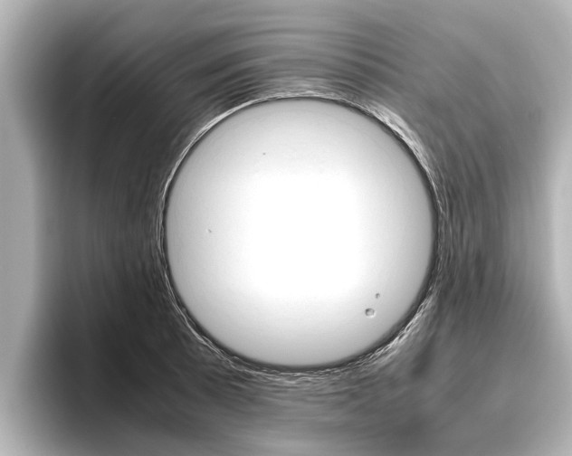 X0000096461089200801241113
