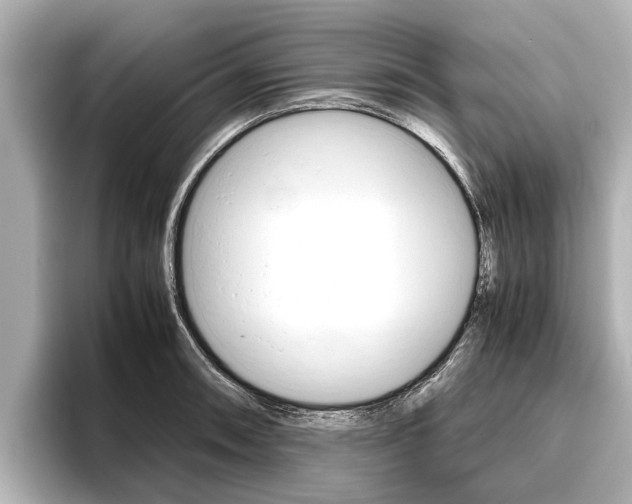X0000096461090200801241113