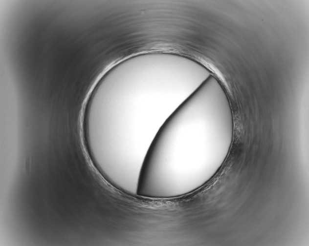 X0000096461091200801241113