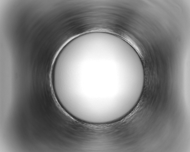 X0000096461092200801241113