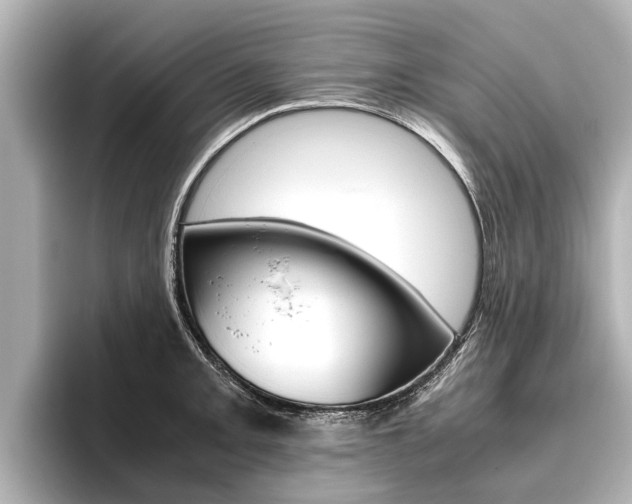 X0000096461093200801241113