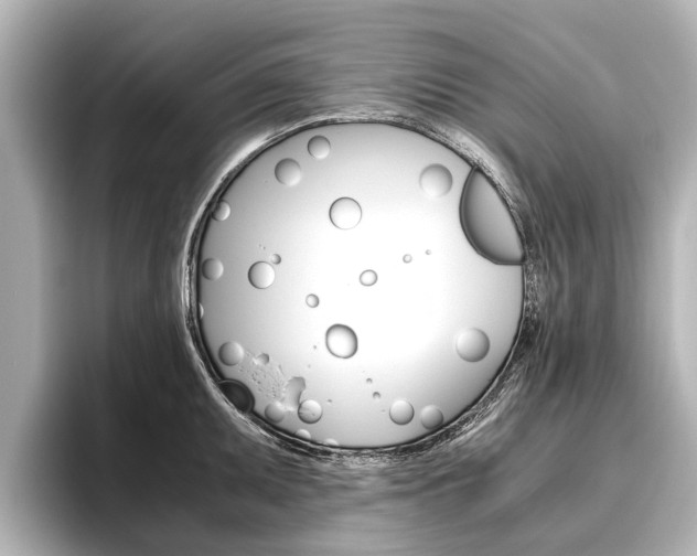 X0000096461095200801241113