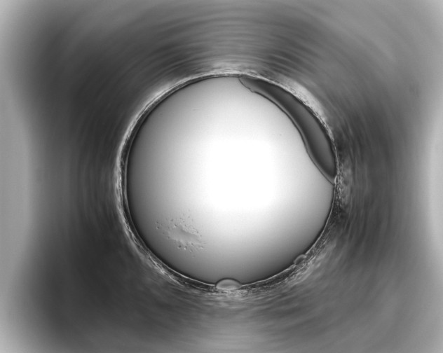 X0000096461096200801241113
