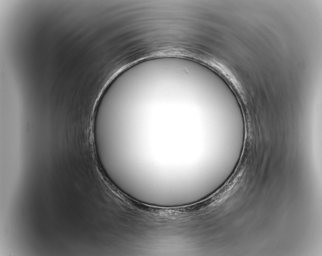 X0000096461097200801241113