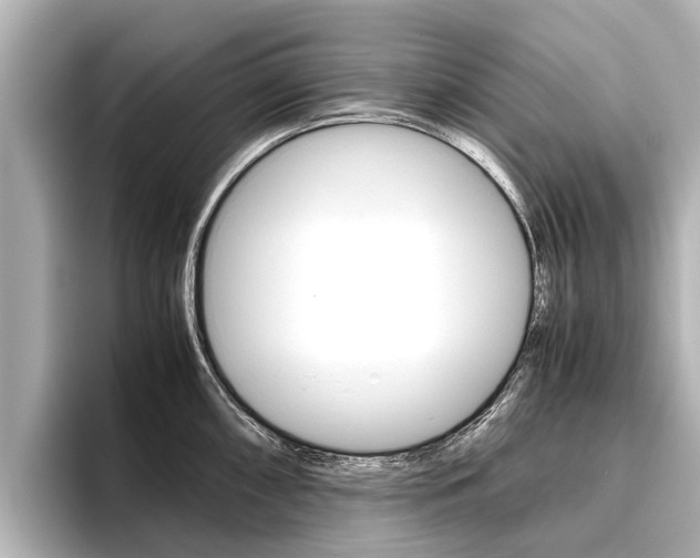 X0000096461098200801241113