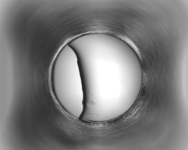 X0000096461099200801241113