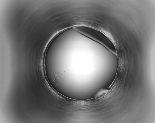 X0000096461100200801241113