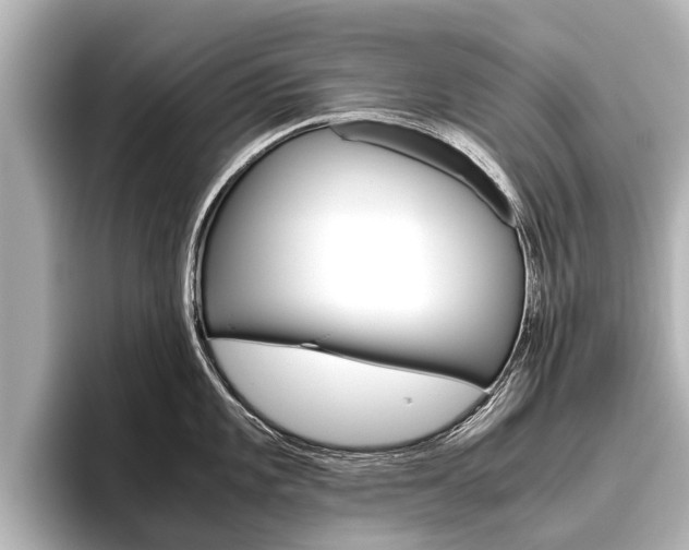 X0000096461101200801241113