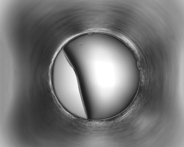 X0000096461102200801241113