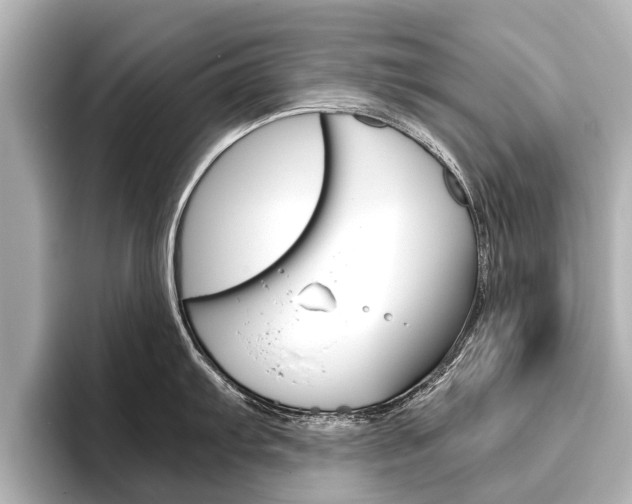 X0000096461103200801241113