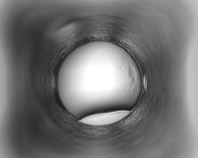 X0000096461107200801241112