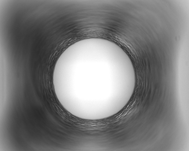 X0000096461108200801241112