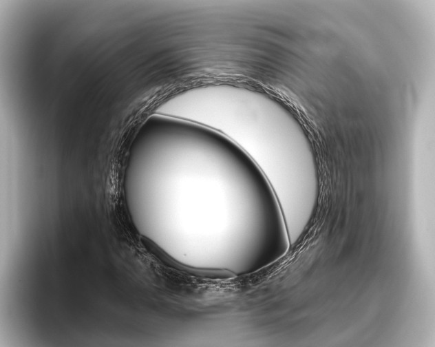 X0000096461110200801241112
