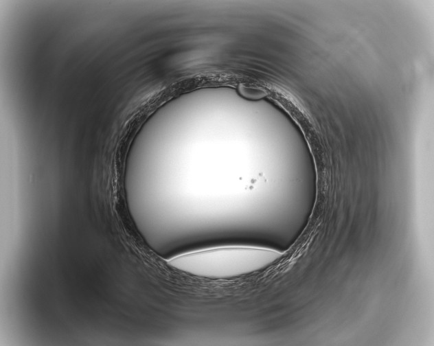 X0000096461111200801241112