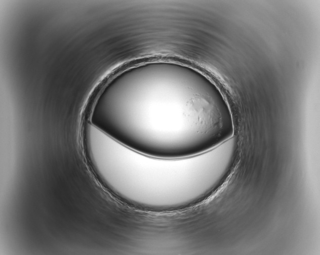 X0000096461118200801241112