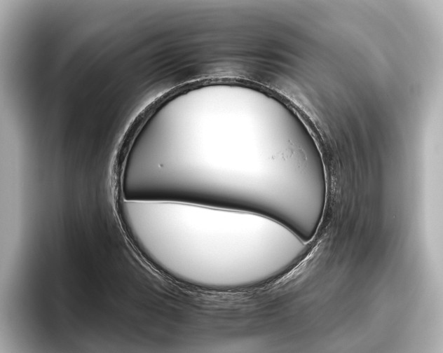 X0000096461119200801241112