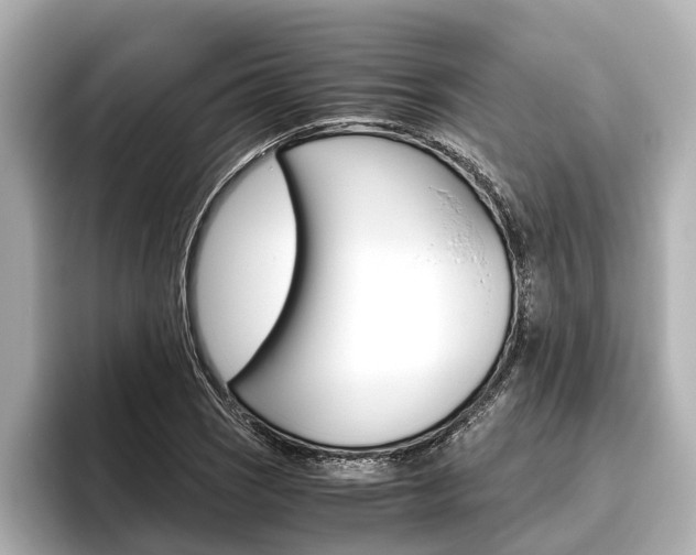 X0000096461121200801241112
