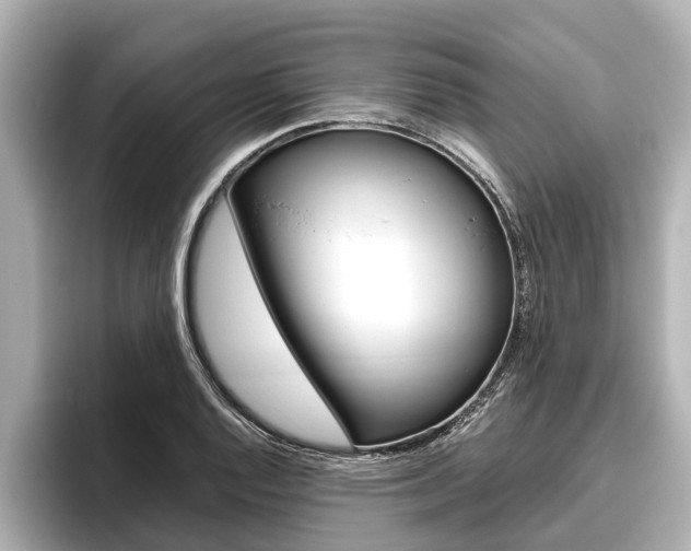 X0000096461128200801241113
