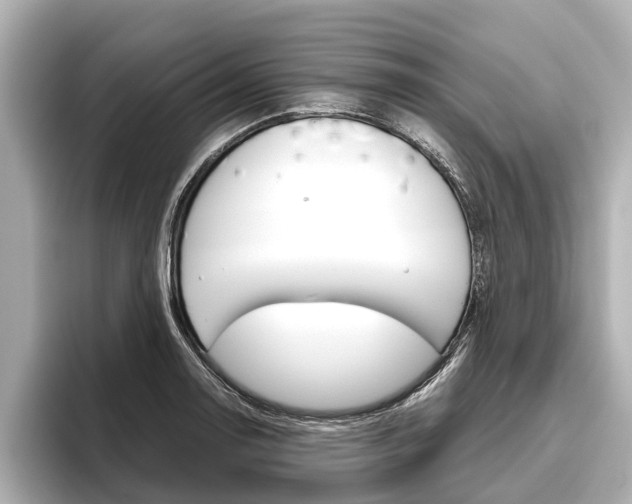 X0000096461130200801241113