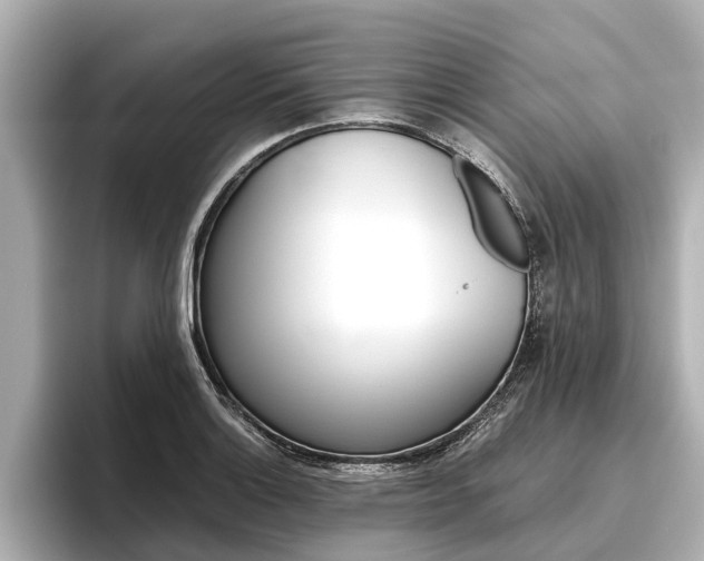X0000096461132200801241113