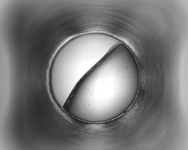 X0000096461134200801241113