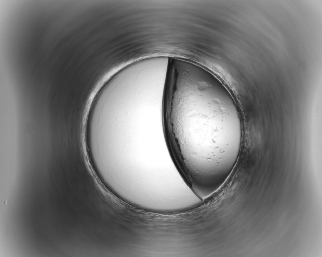 X0000096461136200801241113