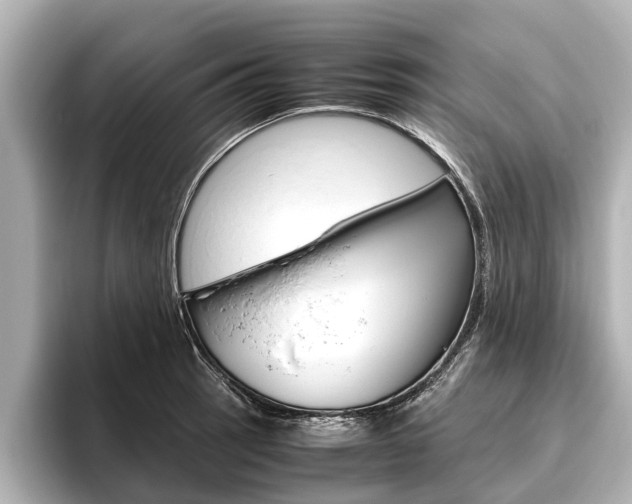 X0000096461137200801241113