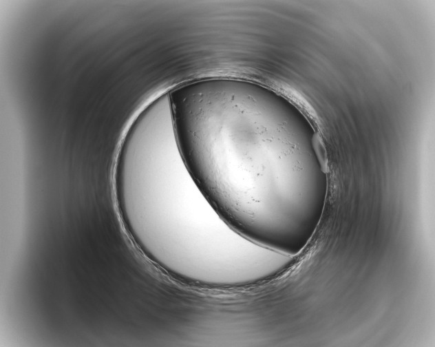 X0000096461138200801241113