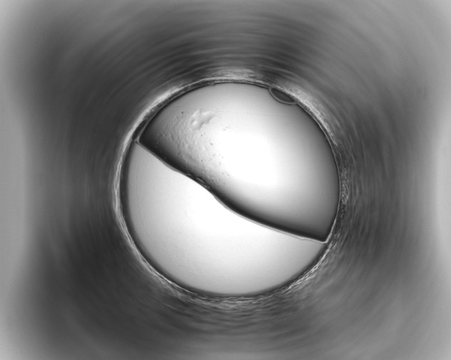 X0000096461139200801241113