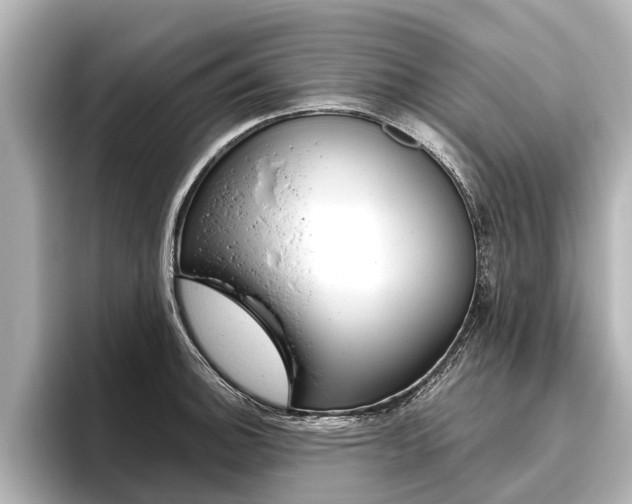 X0000096461140200801241113