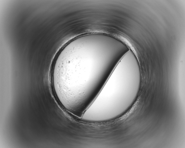 X0000096461141200801241113