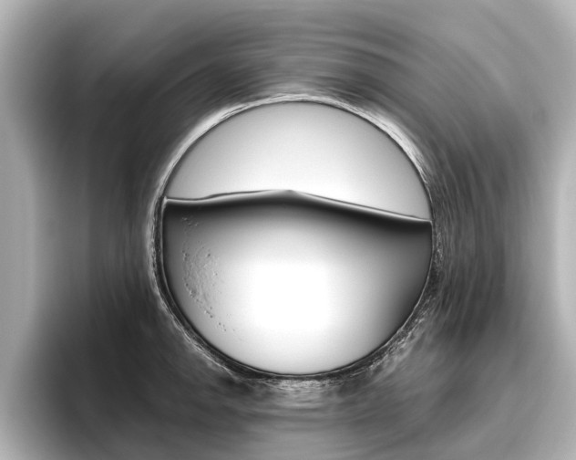 X0000096461142200801241113