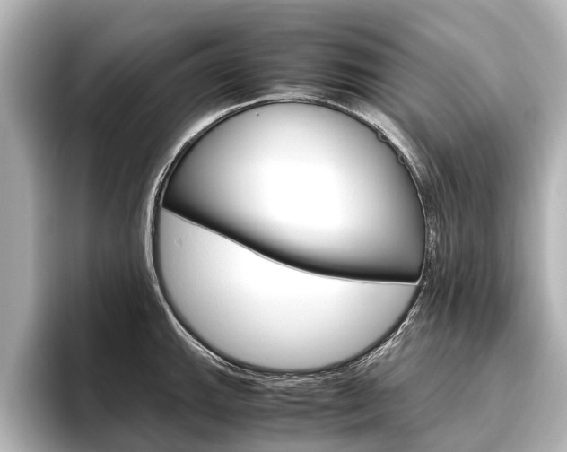 X0000096461143200801241113