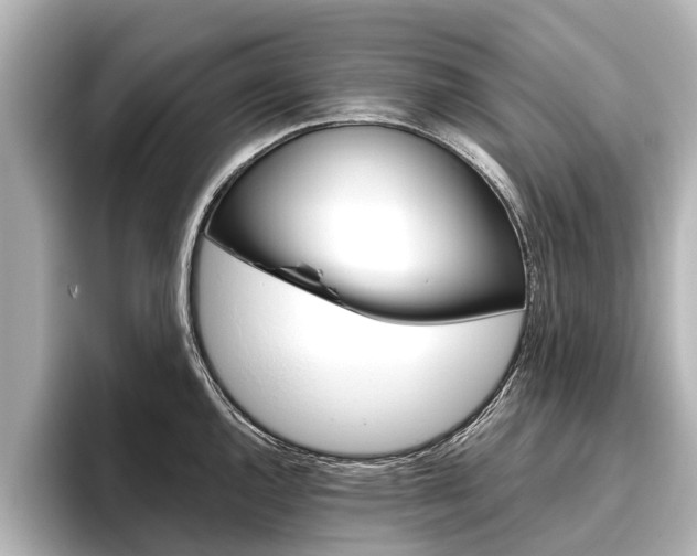 X0000096461144200801241113