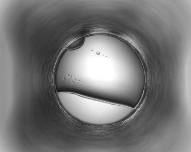 X0000096461145200801241113