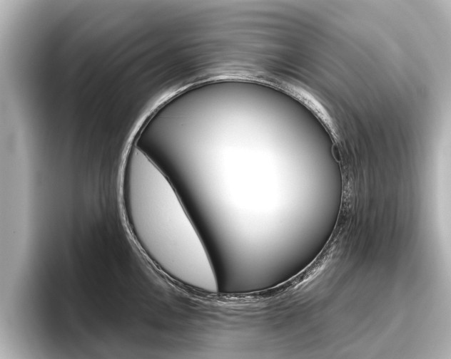 X0000096461146200801241113
