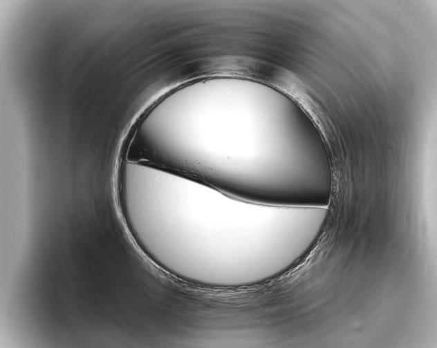 X0000096461147200801241113
