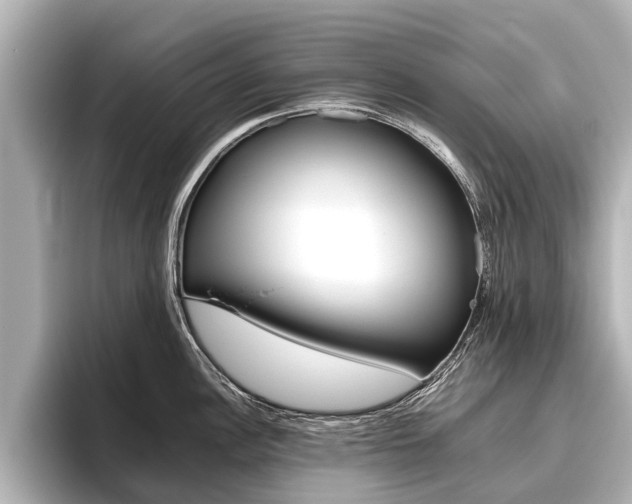 X0000096461148200801241113