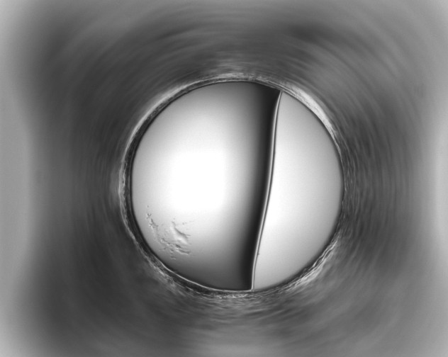 X0000096461149200801241113
