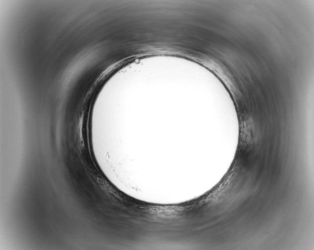 X0000096461150200801241113