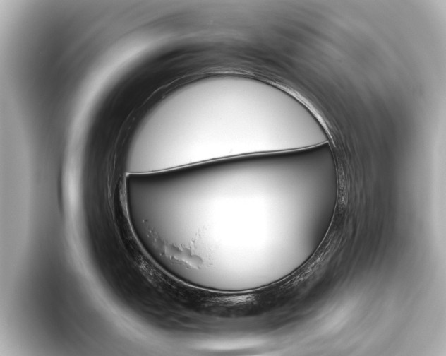 X0000096461151200801241113