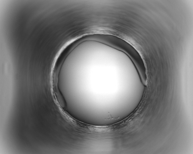 X0000096461152200801241113