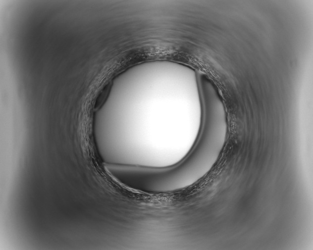 X0000096461153200801241112