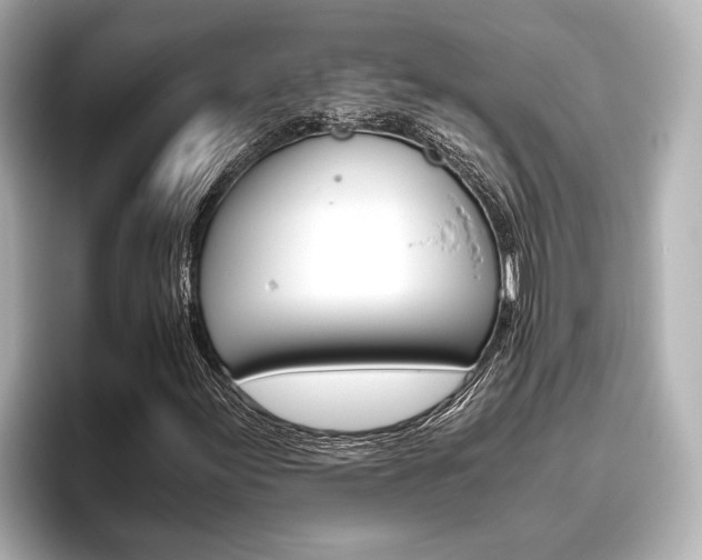 X0000096461155200801241112