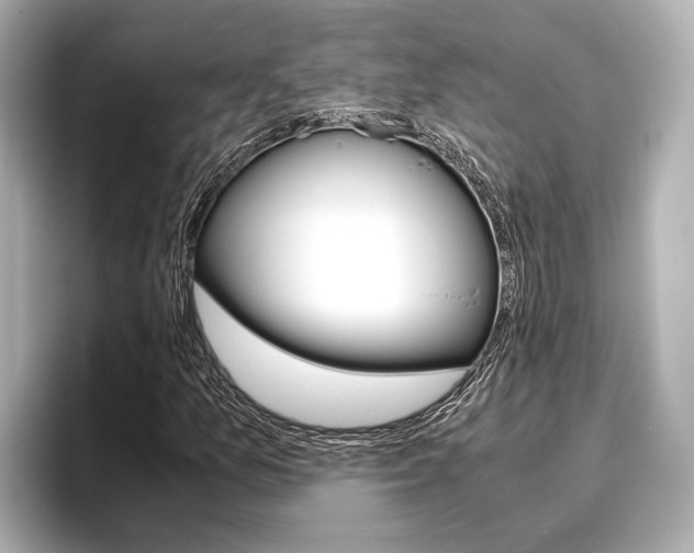 X0000096461157200801241112