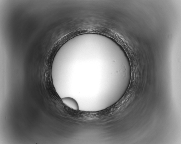 X0000096461158200801241112
