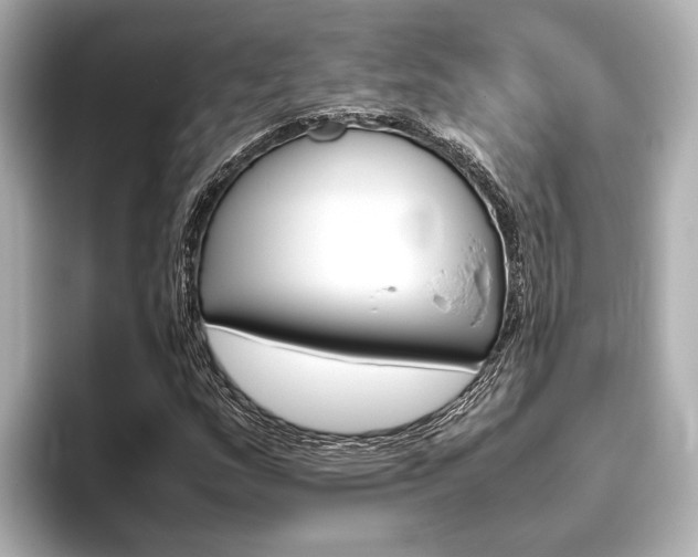 X0000096461159200801241112