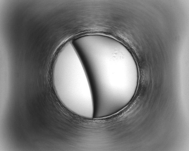 X0000096461163200801241112