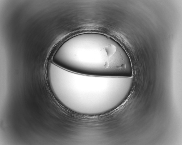 X0000096461164200801241112